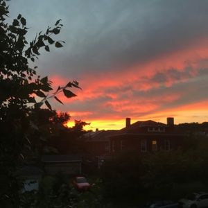 Meet your Posher, Solange